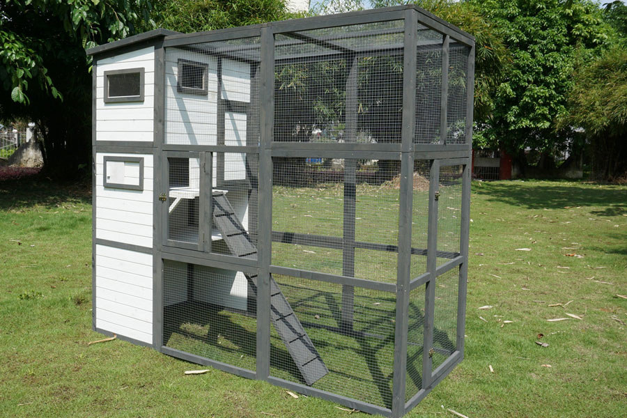 Large Outdoor Cat Enclosure For Sale 