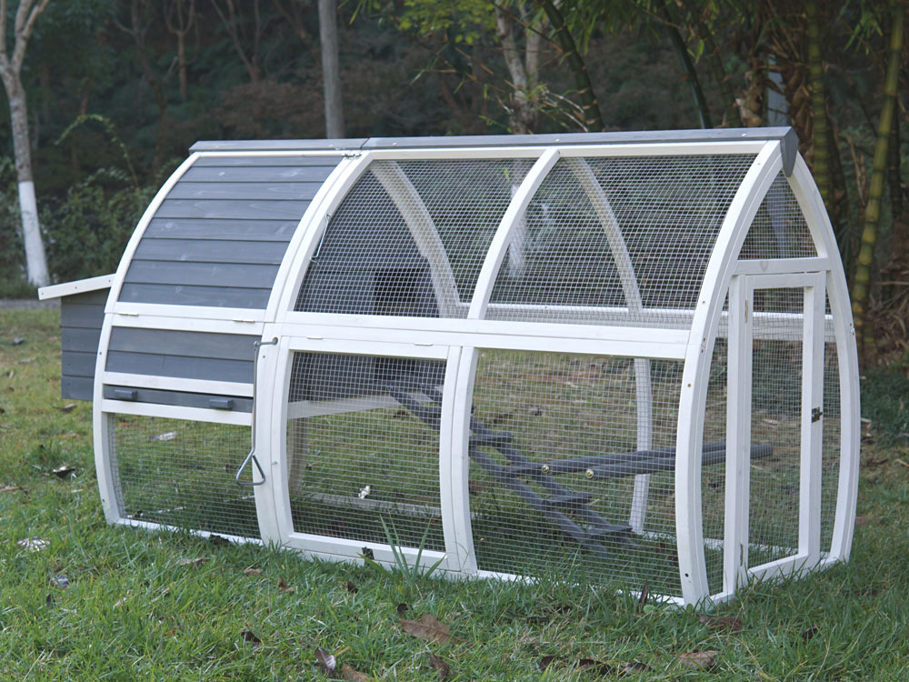 Cute Backyard Chicken Coop