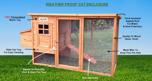 Chicken coop cat enclosure shop