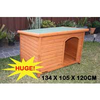 Premium Chicken Coop