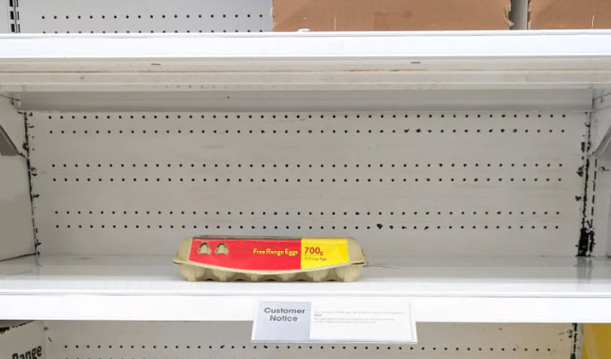 Where Have All the Eggs Gone? Why Eggs Are So Expensive in 2025